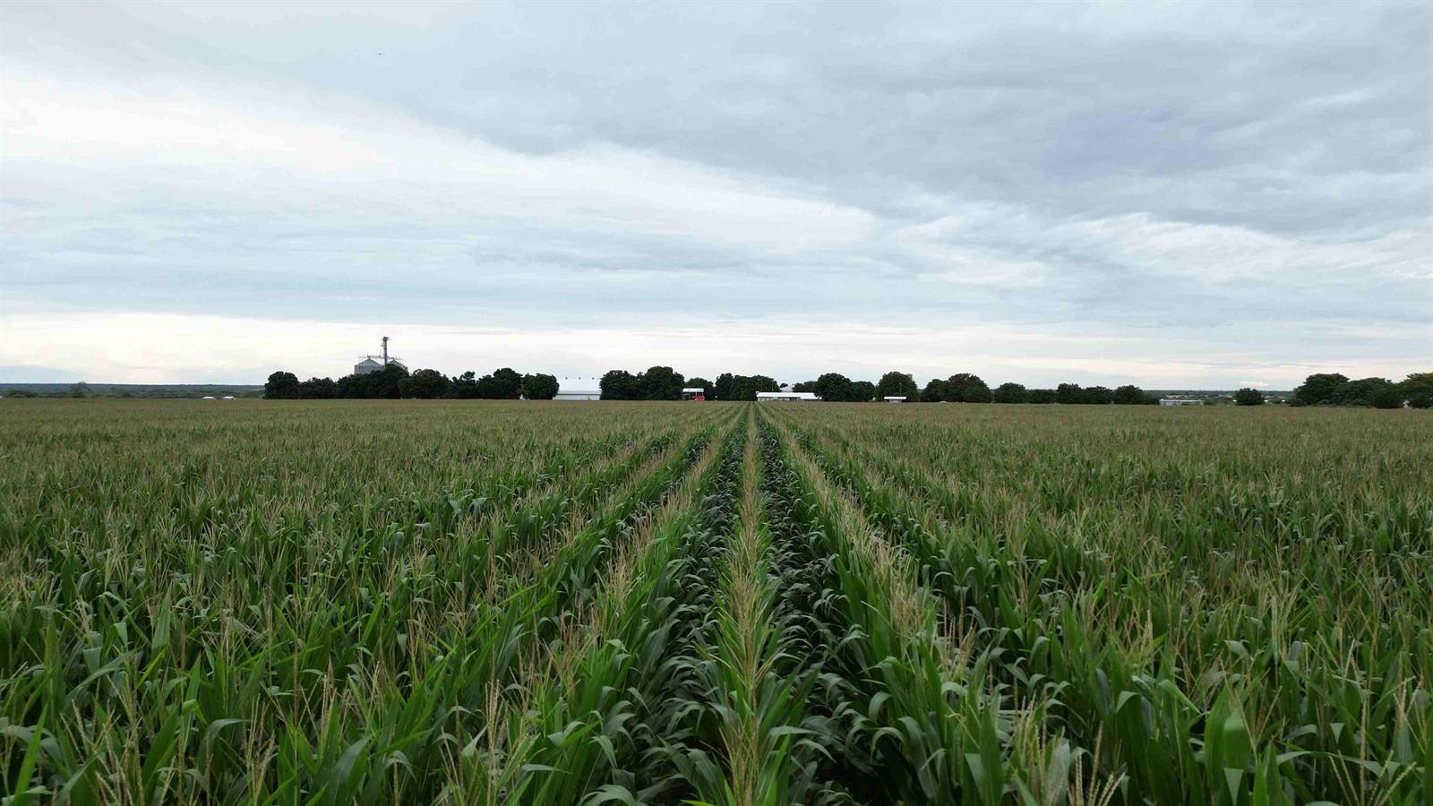Irrigated cropping in Namibia