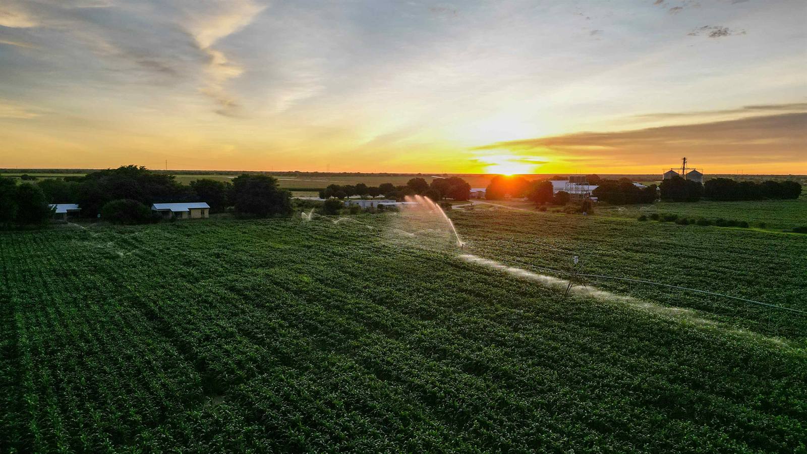 Irrigated cropping in Namibia