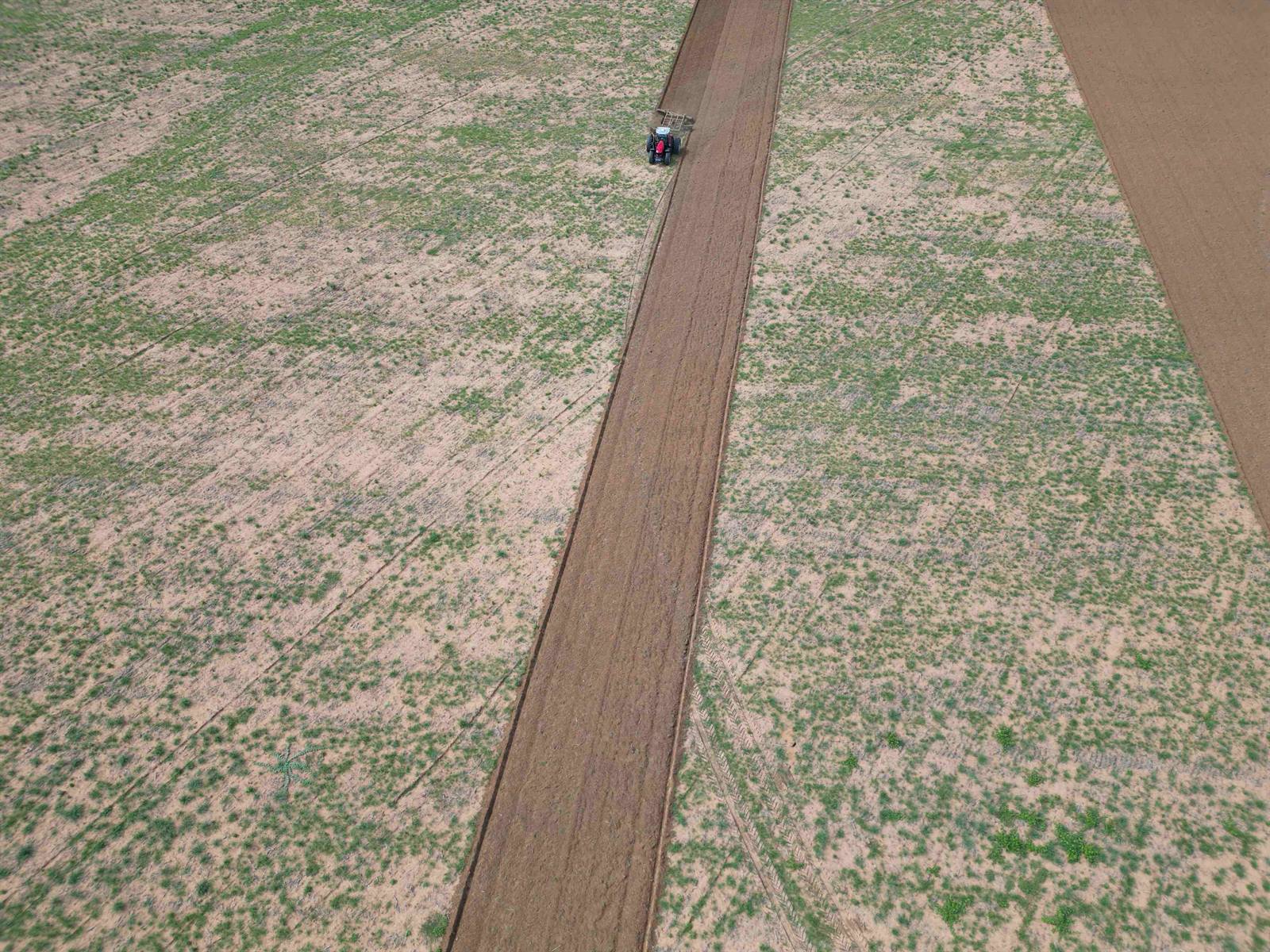 Irrigated cropping in Namibia