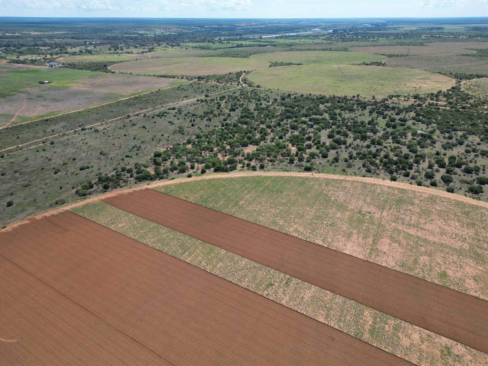 Irrigated cropping in Namibia