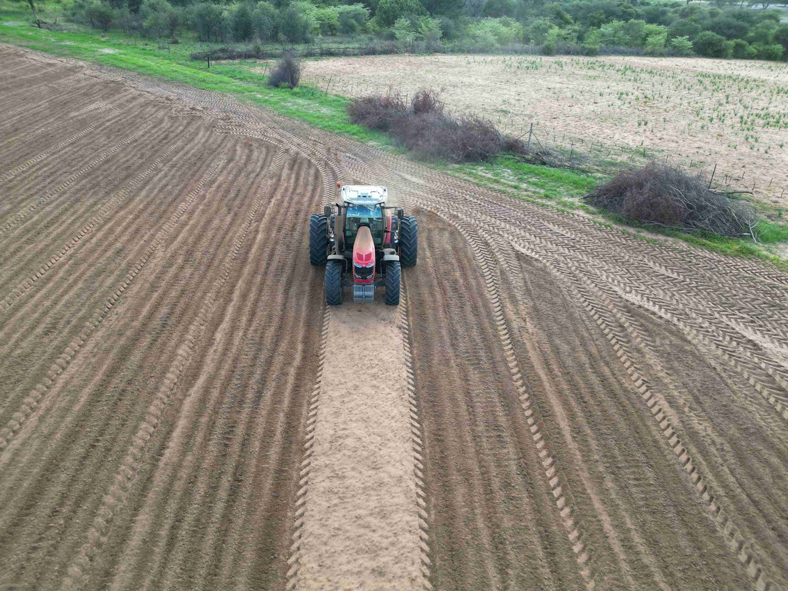 Irrigated cropping in Namibia